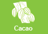 Cacao